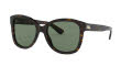 Ralph Lauren RL8180 Dark Havana / Green Lens (500371) Sunglasses - Color Image
