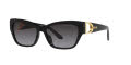 Ralph Lauren RL8206U Shiny Black / Gradient Grey Lens (50018G) Sunglasses - Color Image