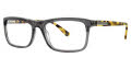 Randy Jackson RJ 3038 Grey (100) Eyeglasses - Color Image