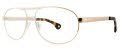 Randy Jackson RJ 1099 Gold (057) Eyeglasses - Color Image