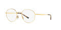Ray-Ban RX3681V Arista (2500) Eyeglasses - Color Image