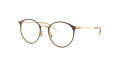 Ray-Ban Junior RY1053 Gold On Top Matte Brown (4078) Eyeglasses - Color Image
