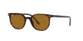 Ray-Ban RB2197 Havana / Brown Lens (902/33) Sunglasses - Color Image