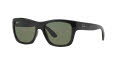 Ray-Ban RB4194 Black / Polarized Green Lens (601/9A) Sunglasses - Color Image