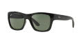 Ray-Ban RB4194 Black / Green Lens (601) Sunglasses - Color Image