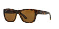 Ray-Ban RB4194 Light Havana / Polarized Brown Lens (710/83) Sunglasses - Color Image
