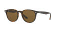Ray-Ban RB4259 Havana / Brown Lens (710/73) Sunglasses - Color Image
