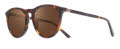 Revo Sage (RE 1217) Tortoise Terra (RE 1217 02 BR) Sunglasses - Color Image