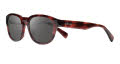 Revo Zinger II (RE 1236) Red Tortoise Graphite (RE 1236 06 GY) Sunglasses - Color Image
