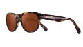 Revo Zinger II (RE 1236) Grey Tortoise Drive (RE 1236 22 GO) Sunglasses - Color Image