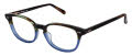 Seventy One Salisbury Brown/Blue Eyeglasses - Color Image