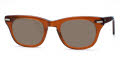 Shuron Freeway Brown Smoke / Brown Polarized Lens Sunglasses - Color Image
