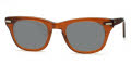 Shuron Freeway Brown Smoke / Gray Polarized Lens Sunglasses - Color Image