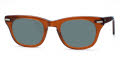 Shuron Freeway Brown Smoke / Green-Gray Polarized Lens Sunglasses - Color Image