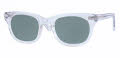 Shuron Freeway Crystal / Green-Gray Polarized Lens Sunglasses - Color Image