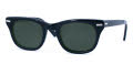 Shuron Freeway Ebony / Green-Gray Polarized Lens Sunglasses - Color Image