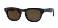 Shuron Sidewinder Ebony / Brown Polarized Lens Sunglasses - Color Image