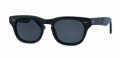 Shuron Sidewinder Ebony / Gray Polarized Lens Sunglasses - Color Image