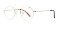 Shuron Ronstrong with Tondo Temples Gold with Tondo Skull Temples Eyeglasses - Color Image