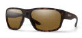 Smith Arvo Matte Tortoise / ChromaPop Polarized Brown (N9P61L5) Sunglasses - Color Image