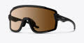Smith Wildcat Matte Black / ChromaPop Photochromic Brown (00399B6) Sunglasses - Color Image