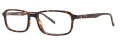 Stetson Stetson 316 Tortoise (024) Eyeglasses - Color Image