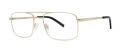 Stetson Stetson 389 Gold (057) Eyeglasses - Color Image