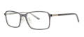 Stetson Stetson SF 3001 Grey (100) Eyeglasses - Color Image