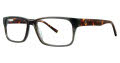 Stetson Stetson XL 30 Grey (100) Eyeglasses - Color Image