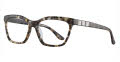 Takumi TK1035 With Magnetic Clip-On Lens Brown & Pearl, Black with Polarized Clip on Lens (10)  Eyeglasses - Color Image