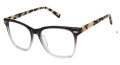 Ted Baker TWBIO001 Black (BLK) Eyeglasses - Color Image