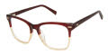 Ted Baker TWBIO001 Burgundy (BUR) Eyeglasses - Color Image