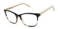 Ted Baker TWBIO003 Black (BLK) Eyeglasses - Color Image
