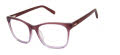 Ted Baker TWBIO003 Purple (PUR) Eyeglasses - Color Image
