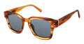Ted Baker TMS119 Horn (HRN) Sunglasses - Color Image