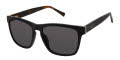 Ted Baker TMS125 Black (BLK) Sunglasses - Color Image