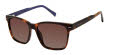 Ted Baker TMS126 Tortoise (TOR) Sunglasses - Color Image