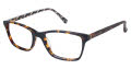 Ted Baker B723 Tortoise (TOR) Eyeglasses - Color Image