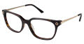 Ted Baker B732 Tortoise (TOR) Eyeglasses - Color Image