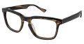 Ted Baker B881 Tortoise (TOR) Eyeglasses - Color Image
