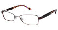 Ted Baker B228 Brown (BRN) Eyeglasses - Color Image