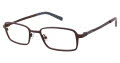 Ted Baker B331 Brown (BRN) Eyeglasses - Color Image