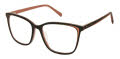 Ted Baker TFW012 Black (BLK) Eyeglasses - Color Image