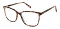 Ted Baker TFW012 Grey Blush (GRY) Eyeglasses - Color Image