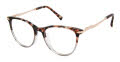 Ted Baker TFW013 Grey (GRY) Eyeglasses - Color Image