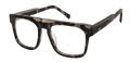 Ted Baker TM013 Grey Tortoise - GRY Eyeglasses - Color Image