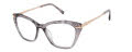 Ted Baker TW019 Grey (GRY) Eyeglasses - Color Image