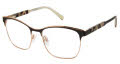Ted Baker TW516 Black Eyeglasses - Color Image