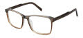 Ted Baker TXL006 Grey Brown - GRY Eyeglasses - Color Image