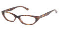 Ted Baker B702 Tortoise (TOR) Eyeglasses - Color Image